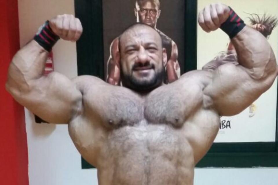 Anwar Seif