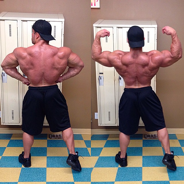 Tony Searle
