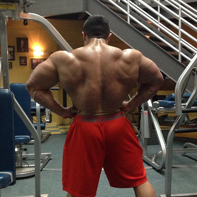 Tony Searle