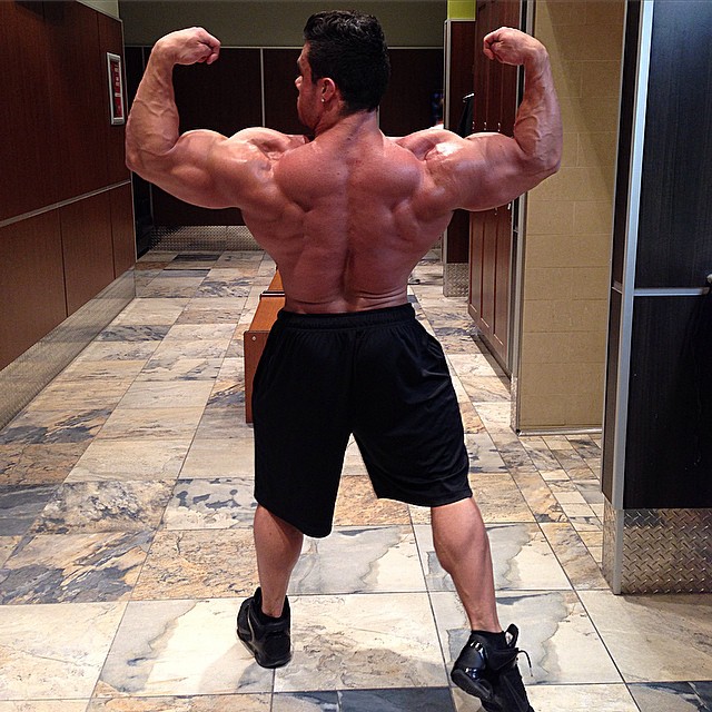 Tony Searle