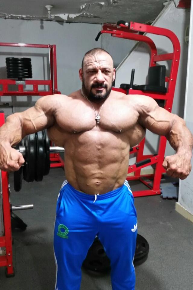 Anwar Seif