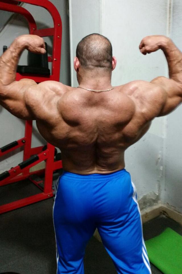 Anwar Seif