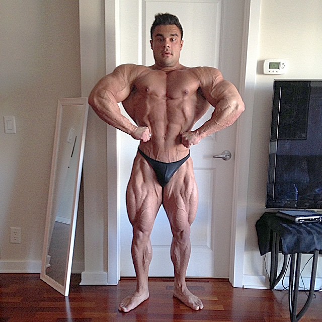 Tony Searle