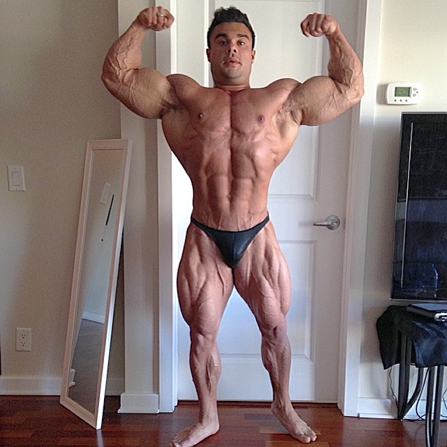 Tony Searle