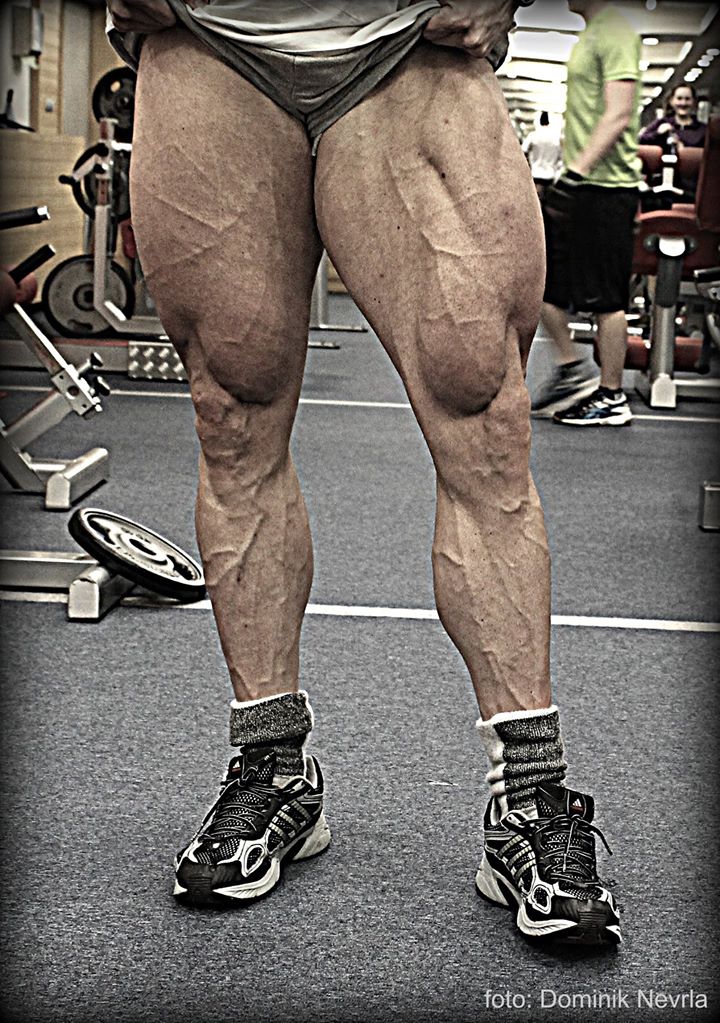 Miroslav Kalich