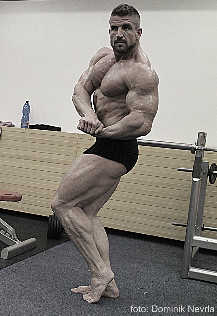 Miroslav Kalich