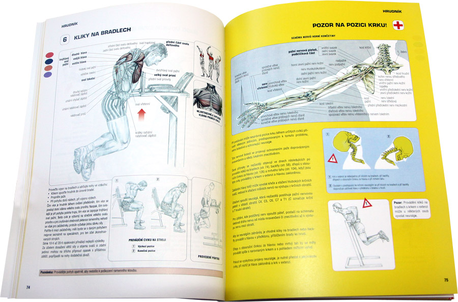 Posilov�n� - anatomick� pr�vodce (Kopp)