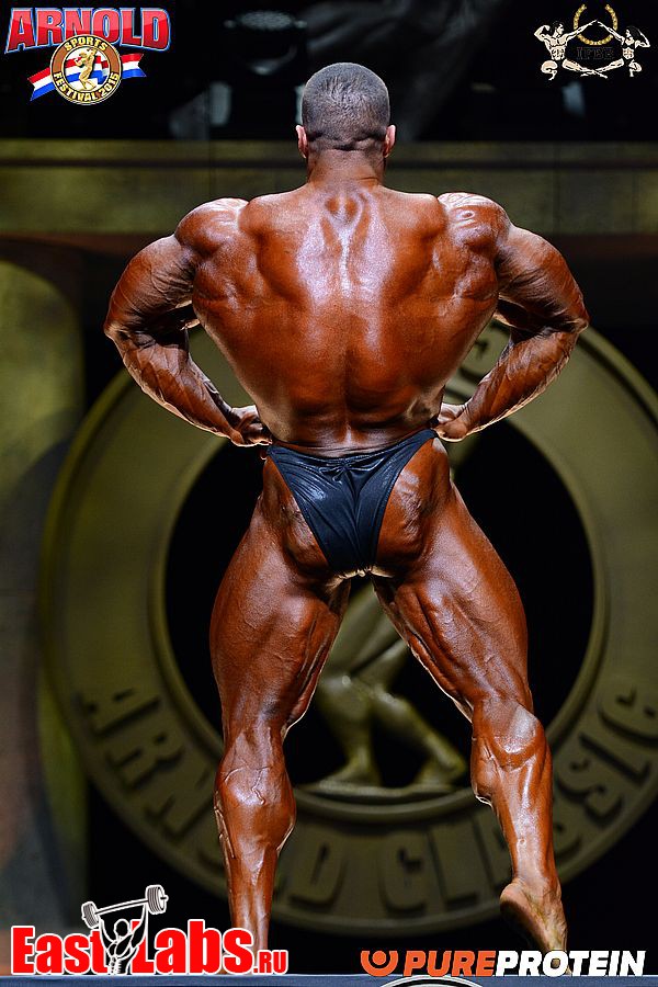 Evan Centopani