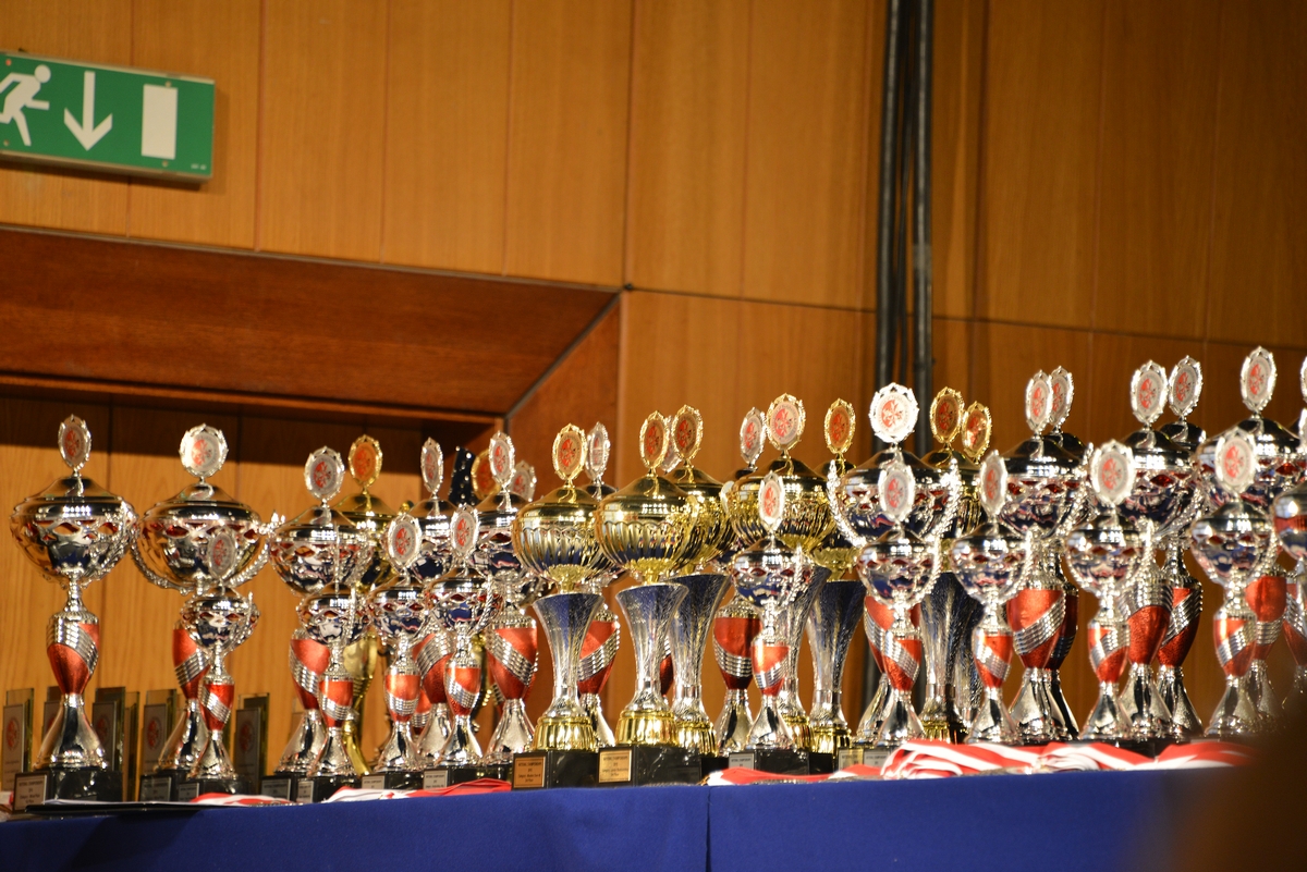 Malta Bodybuilding and Fitness International GP 2015
