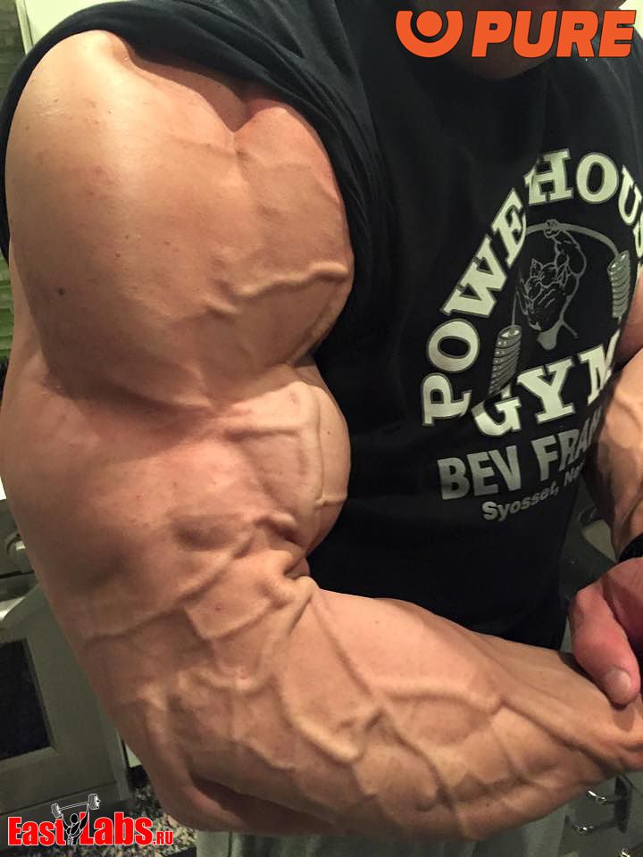 Alexander Fedorov