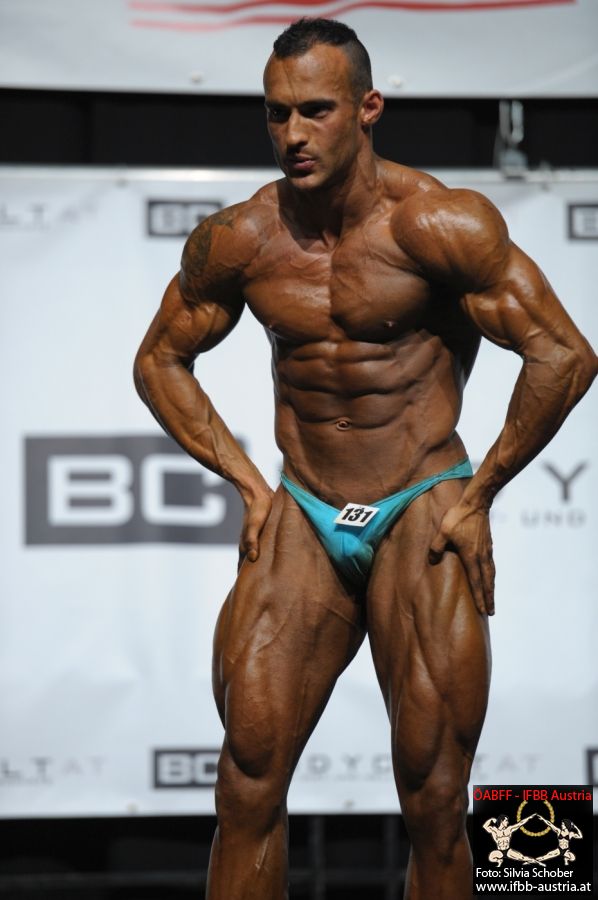David Vy��tal