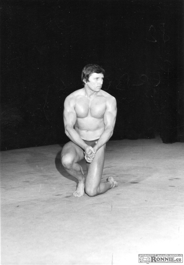 1982 - P�emysl Perbeck�