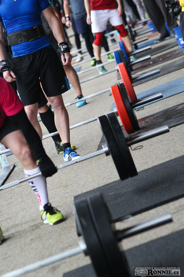 �Fit Monster 2015 (Brno) 