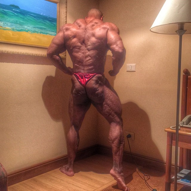 Juan Morel