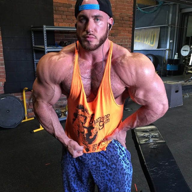 Antoine Vaillant