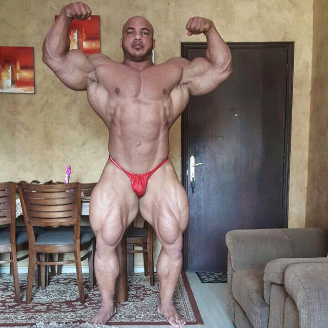 Mamdouh Elssbiay 12 t�dn� p�ed Mr. Olympia 2015