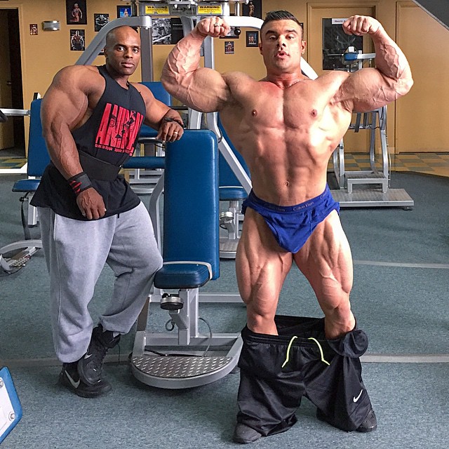 Tony Searle