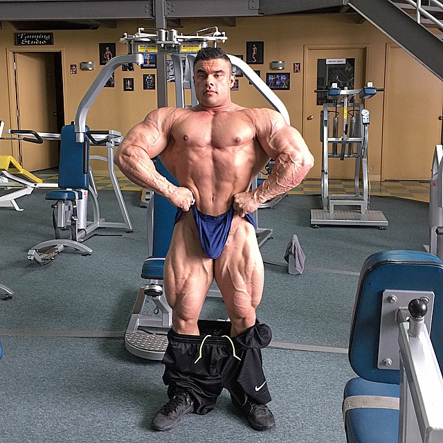 Tony Searle