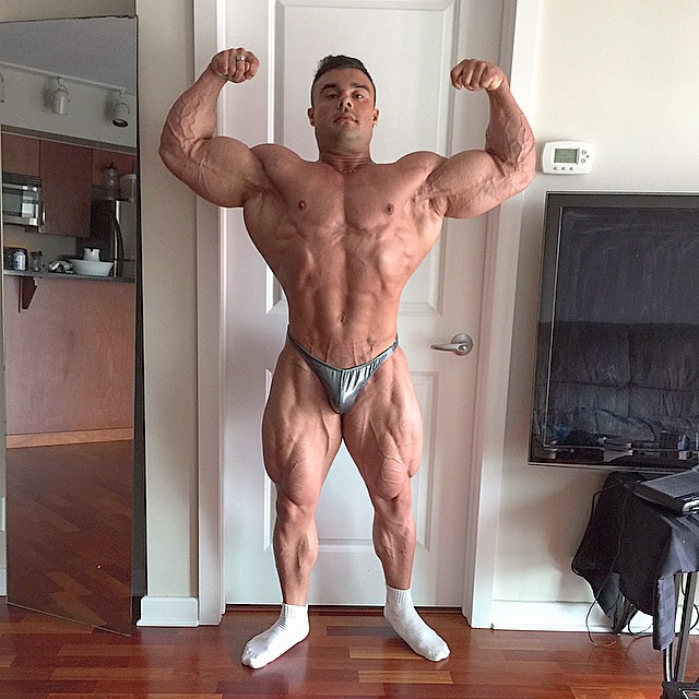 Tony Searle