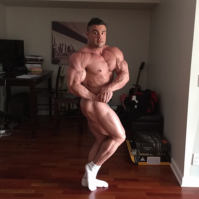 Tony Searle