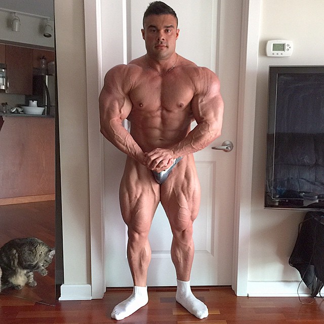 Tony Searle