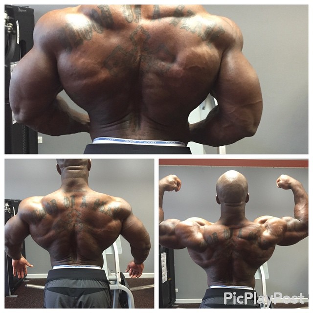 Eboni Wilson 3 t�dny p�ed Wings of Strength Chicago 2015