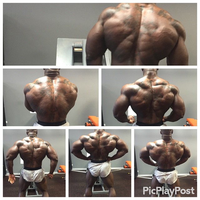 Eboni Wilson t�den p�ed Wings of Strength Chicago 2015