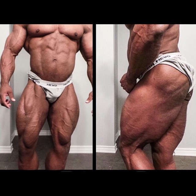 Hassan Jama