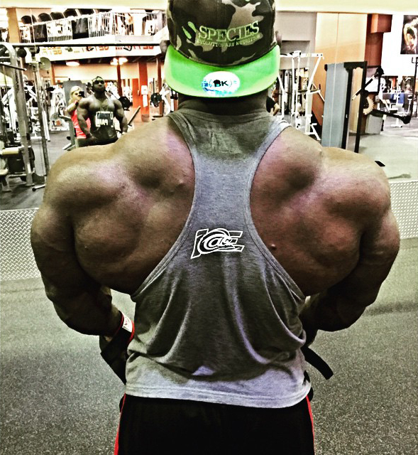 Akim Williams