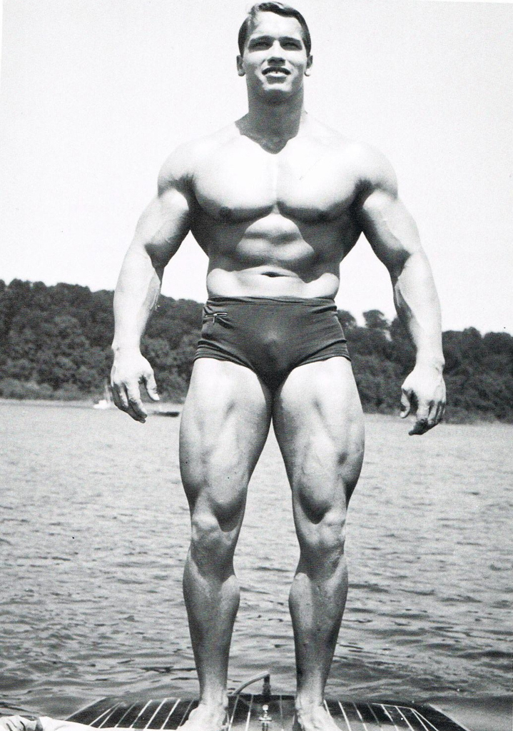 Arnold Schwarzenegger