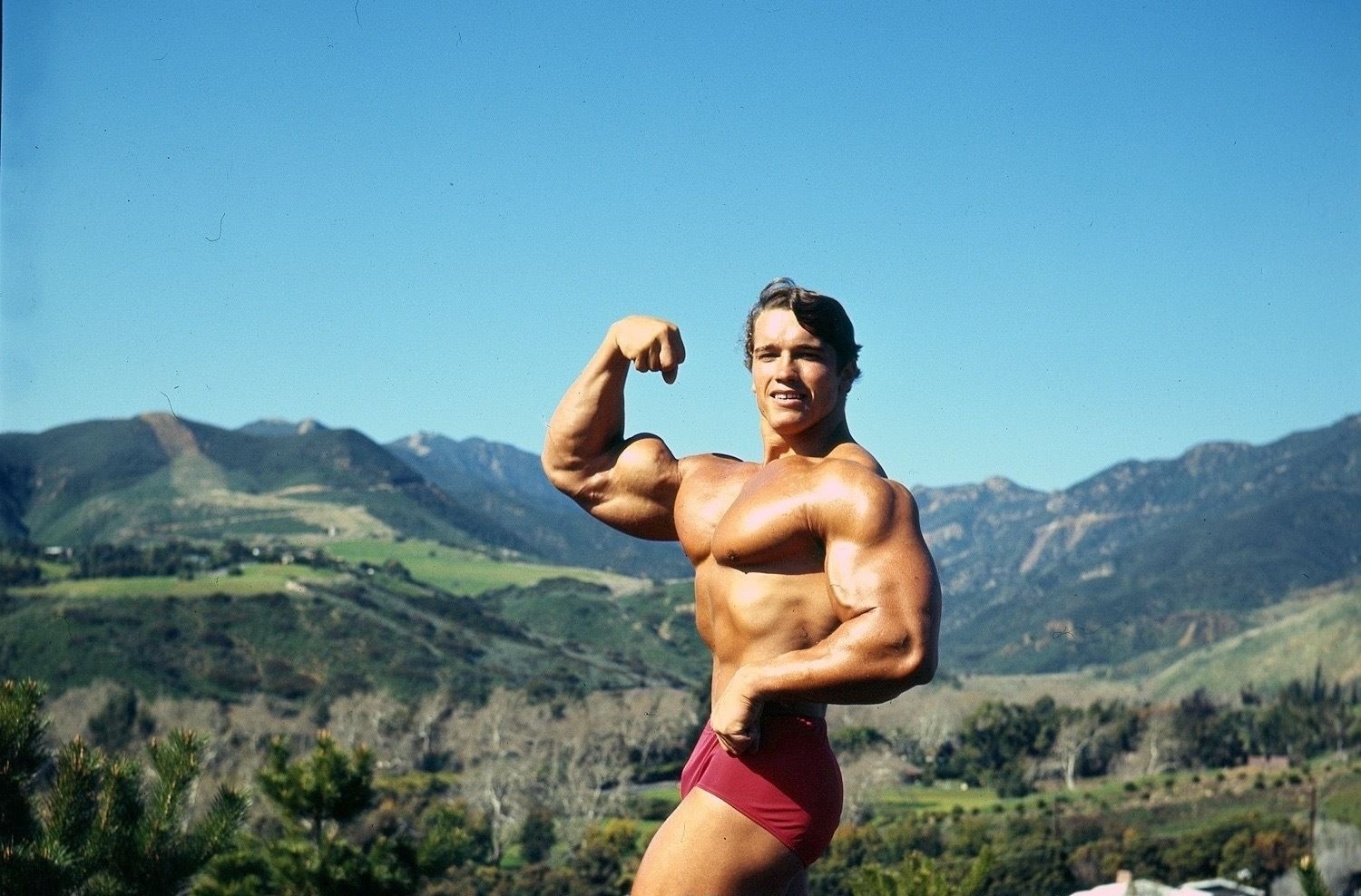 Arnold Schwarzenegger