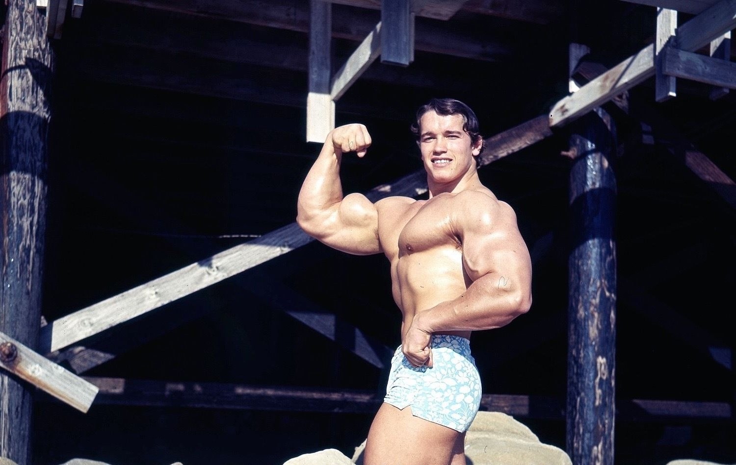 Arnold Schwarzenegger