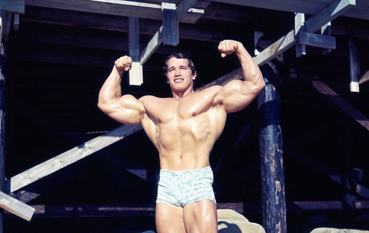 Arnold Schwarzenegger