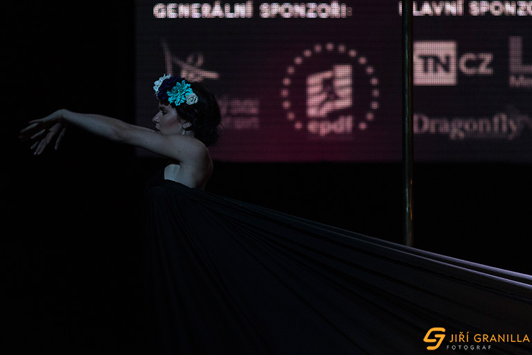 Mistrovstv� �esk� a Slovensk� republiky v pole art 2015 - profi