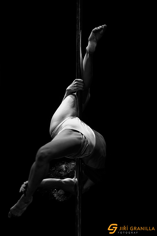 Mistrovstv� �esk� a Slovensk� republiky v pole art 2015 - profi
