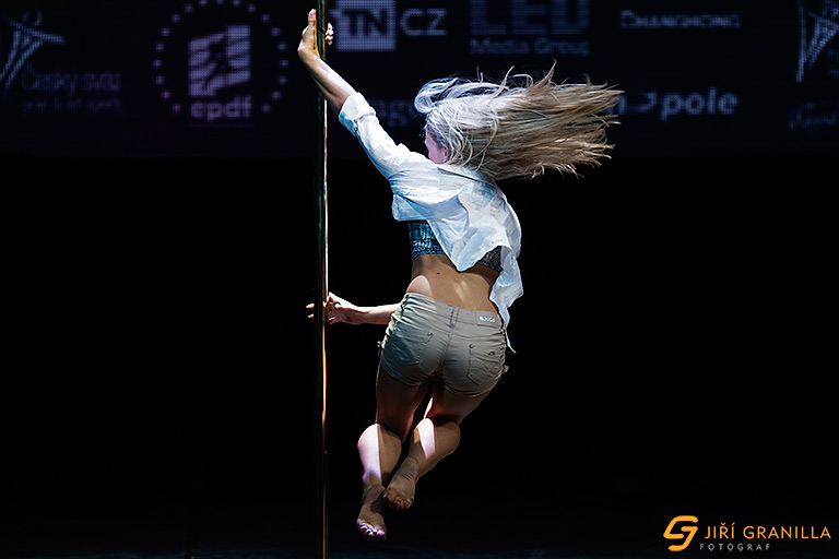 Mistrovstv� �esk� a Slovensk� republiky v pole art 2015 - profi