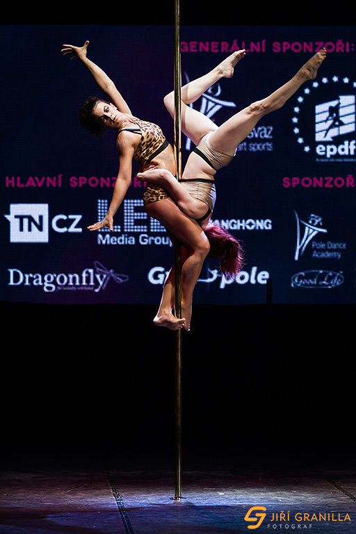 Mistrovstv� �esk� a Slovensk� republiky v pole art 2015 - skupiny