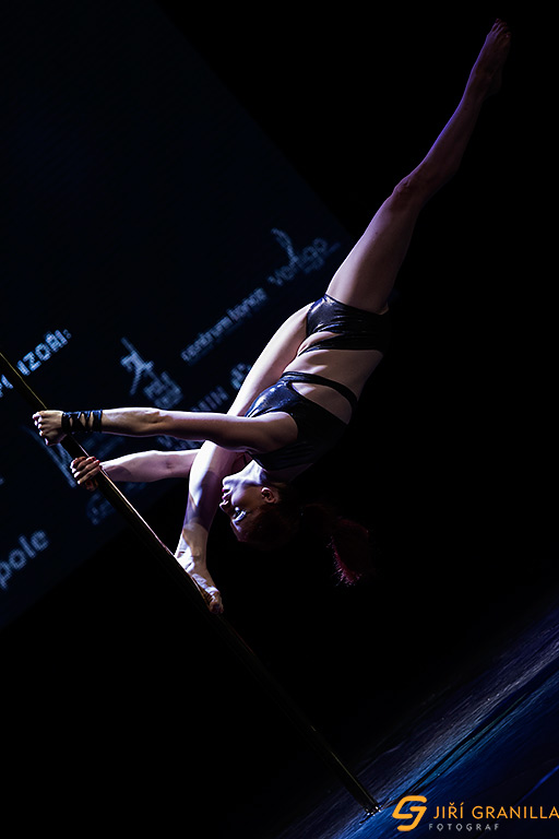 Mistrovstv� �esk� a Slovensk� republiky v pole art 2015 - amat��i