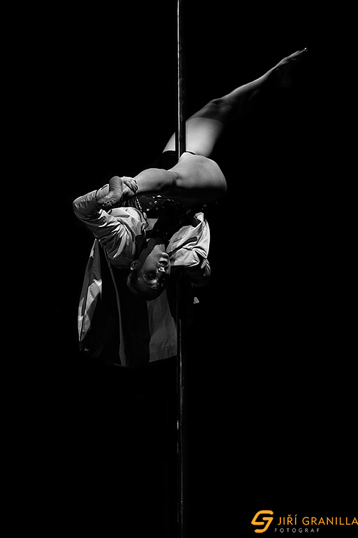 Mistrovstv� �esk� a Slovensk� republiky v pole art 2015 - amat��i
