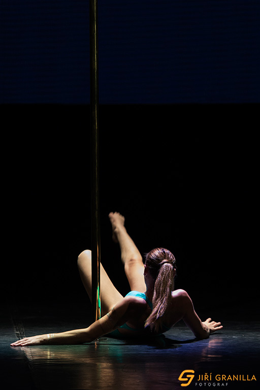 Mistrovstv� �esk� a Slovensk� republiky v pole art 2015 - amat��i