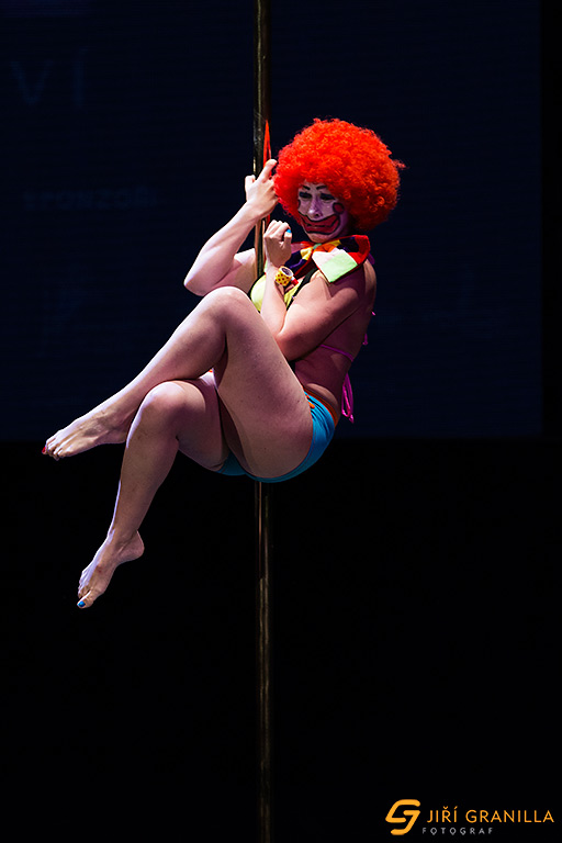 Mistrovstv� �esk� a Slovensk� republiky v pole art 2015 - amat��i