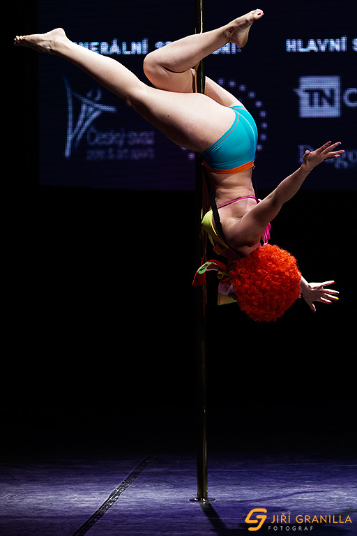 Mistrovstv� �esk� a Slovensk� republiky v pole art 2015 - amat��i