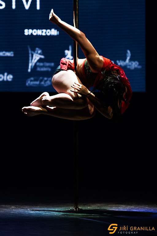 Mistrovstv� �esk� a Slovensk� republiky v pole art 2015 - amat��i