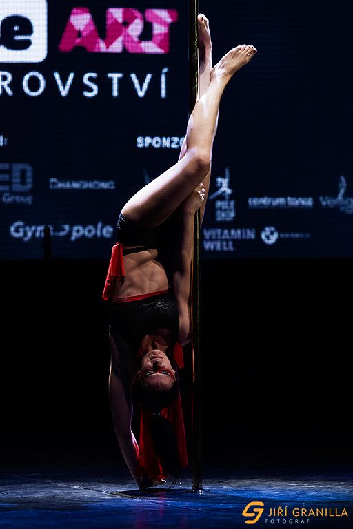 Mistrovstv� �esk� a Slovensk� republiky v pole art 2015 - amat��i