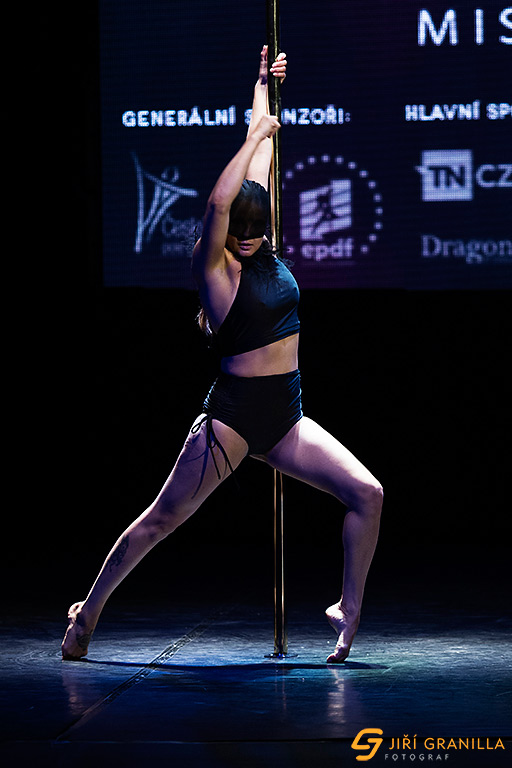 Mistrovstv� �esk� a Slovensk� republiky v pole art 2015 - amat��i