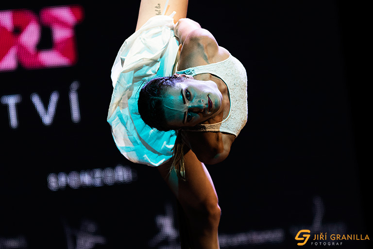 Mistrovstv� �esk� a Slovensk� republiky v pole art 2015 - profi