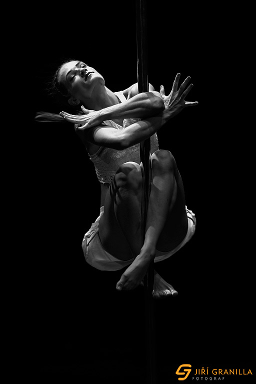 Mistrovstv� �esk� a Slovensk� republiky v pole art 2015 - profi