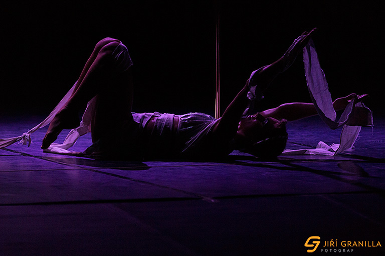 Mistrovstv� �esk� a Slovensk� republiky v pole art 2015 - profi