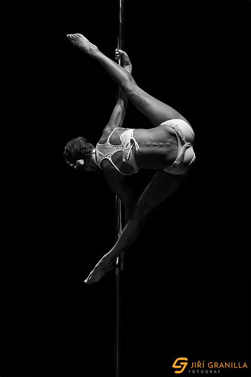 Mistrovstv� �esk� a Slovensk� republiky v pole art 2015 - profi