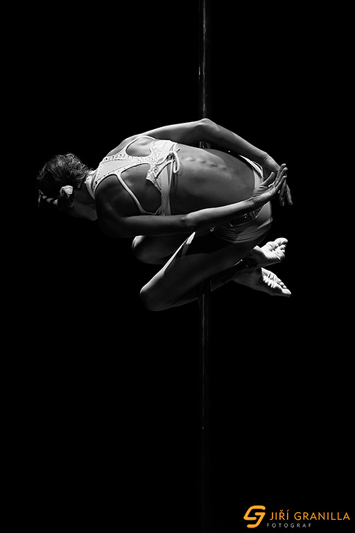 Mistrovstv� �esk� a Slovensk� republiky v pole art 2015 - profi